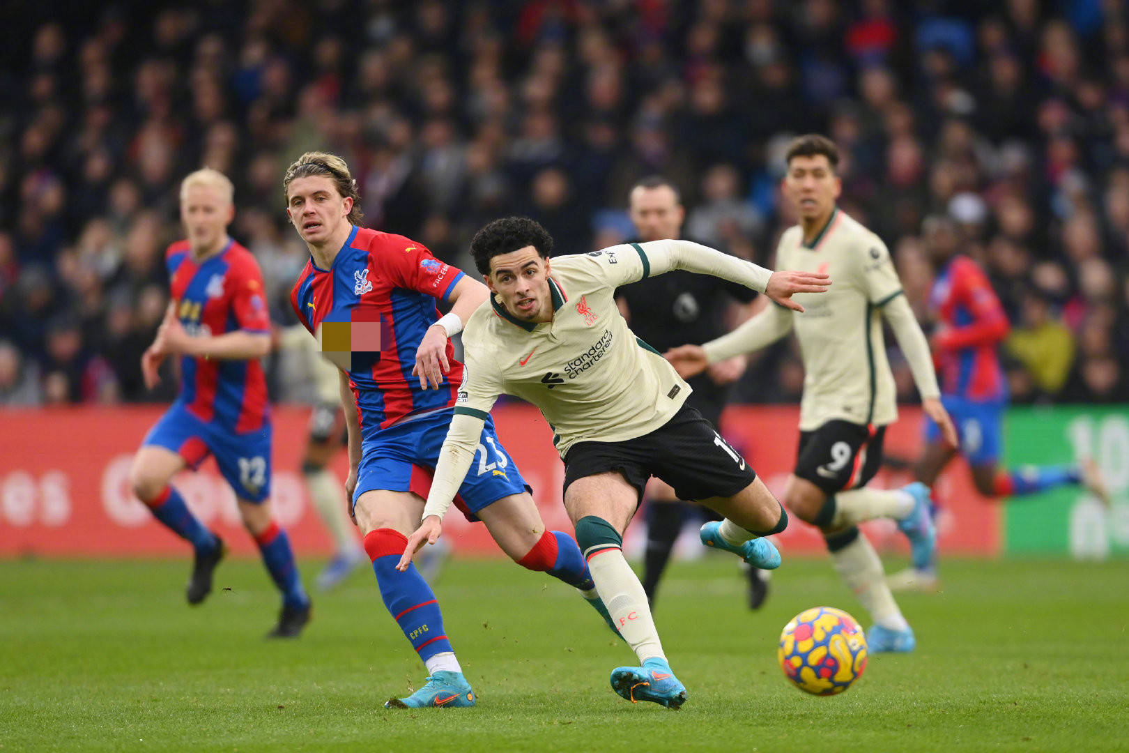 引导各国从 引导各国从